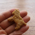 犬用クッキー（にんじん）