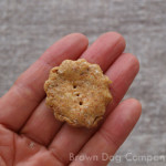 cauliflower cookies for dogs